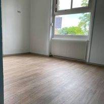 Parquet